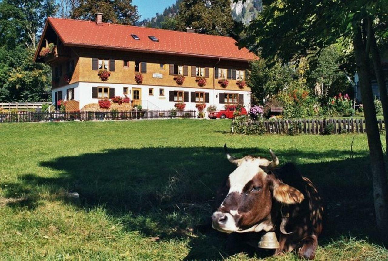 Gästehaus Hedwig Bad Hindelang Exterior foto